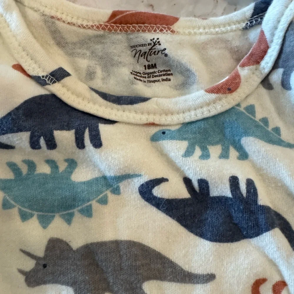 18Mos Dino themed onesies - Set of 3